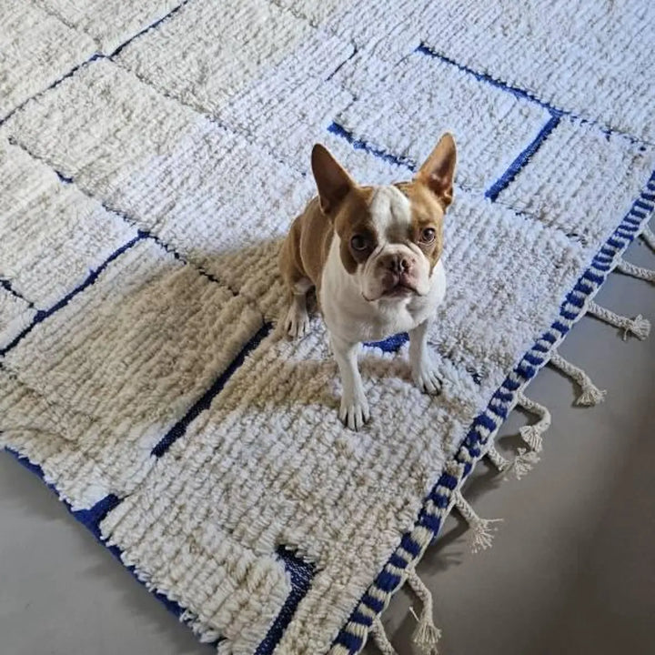 Custom White &amp; Blue Moroccan Wool Rug – Handmade